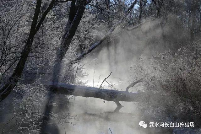 探索吉鹿力问答社区,解决问题尽在黄瓜籽粉要吃多久见效