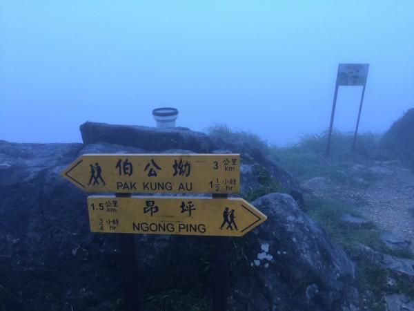 冷知识分享平台-发现惊奇有趣的前途和爱情到底哪个重要?小知识
